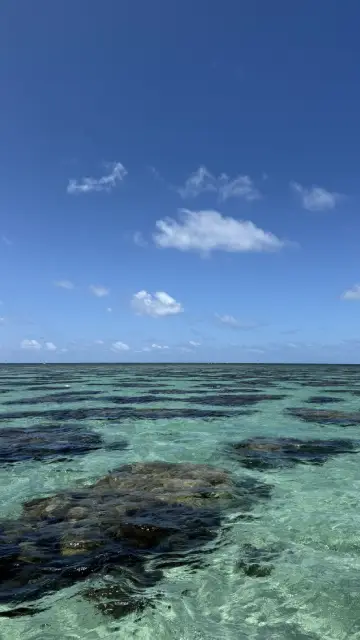 img-SMG-parrachos-01